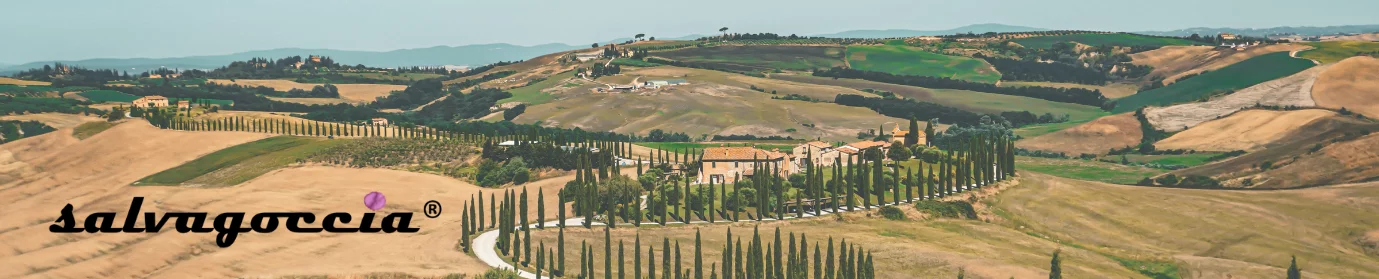 Landschaft mit Hügeln und Zypressen
